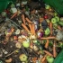Czy można umieścić zgniłe jabłka i inne zgniłe produkty w otworze kompostowym?